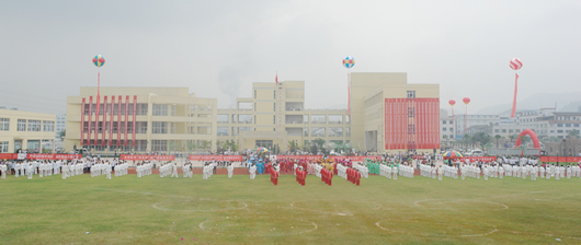 大宝娱乐电器,大宝娱乐电器集团,中国大宝娱乐电器集团