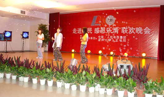大宝娱乐电器,大宝娱乐电器集团,中国大宝娱乐电器集团