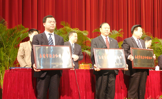 大宝娱乐电器,大宝娱乐电器集团,中国大宝娱乐电器集团
